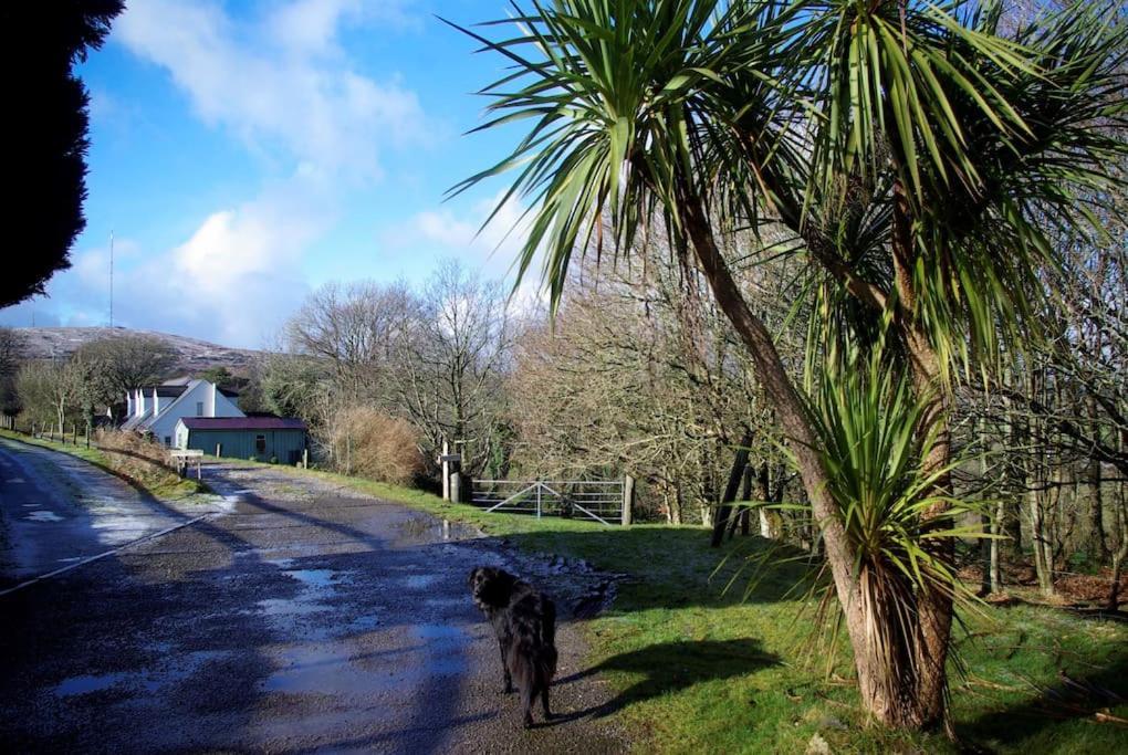 Cargibbitt Annexe Villa Liskeard Bagian luar foto