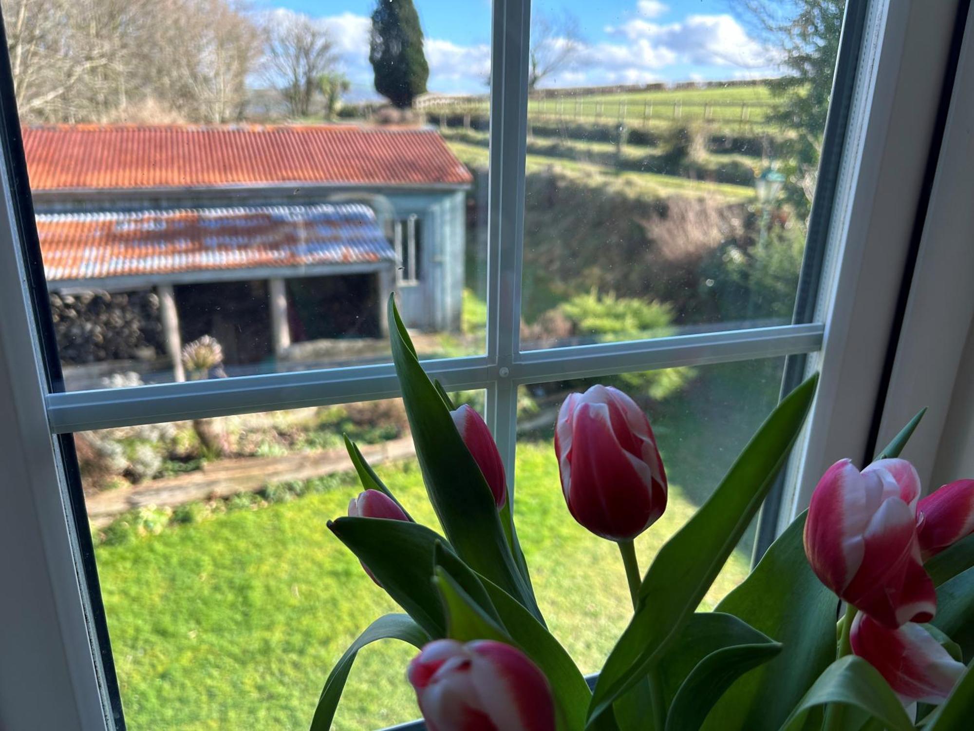 Cargibbitt Annexe Villa Liskeard Bagian luar foto